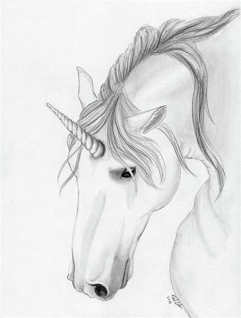 Unicorn pencil drawing